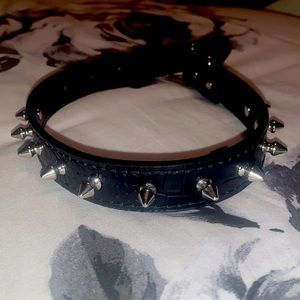 Spiked Dog collar